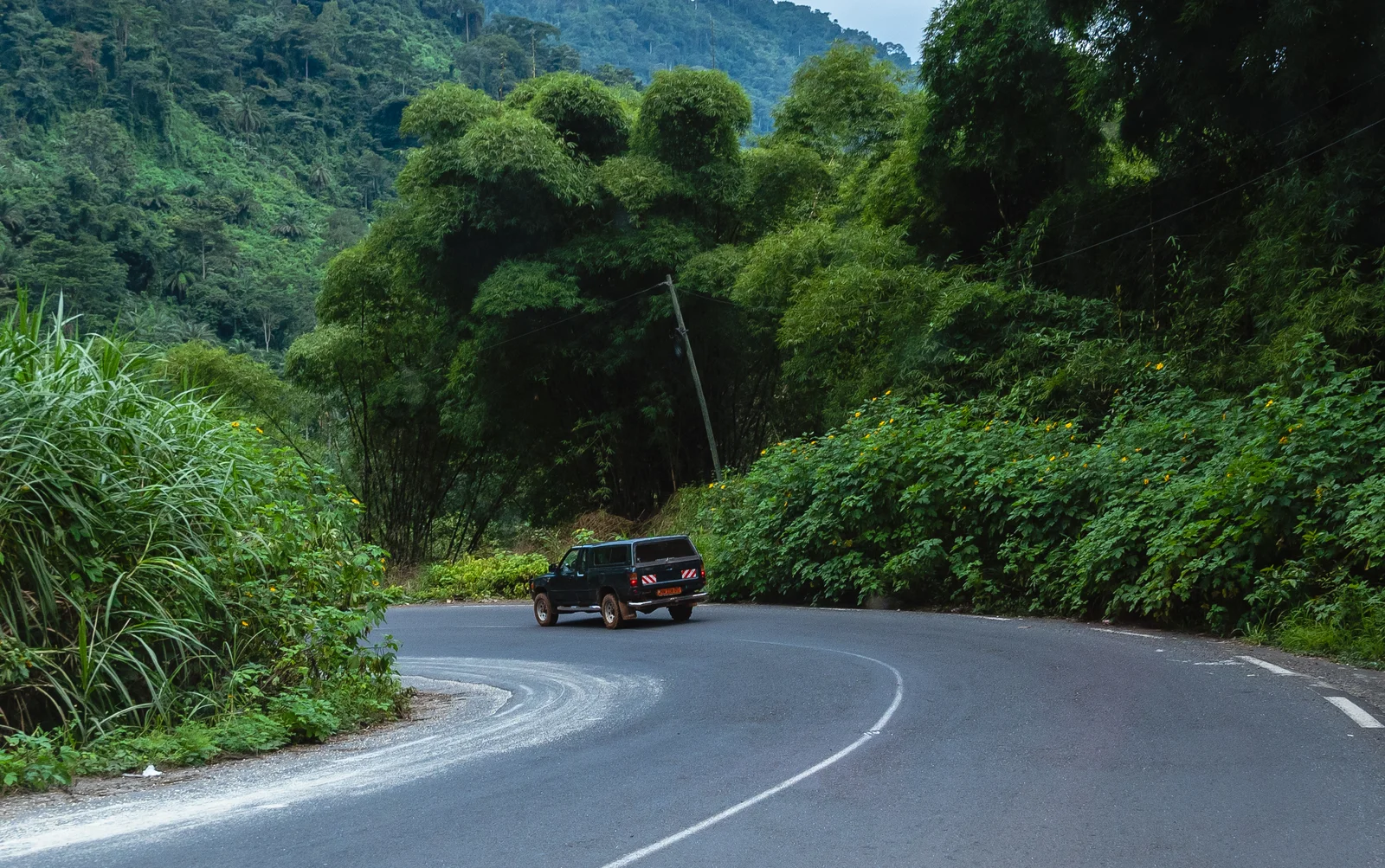 A pickup follows a winding forest road on the Dschang escarpment in western Cameroon